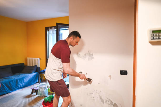 Best Insurance-Related Mold Remediation in Dayton, NJ